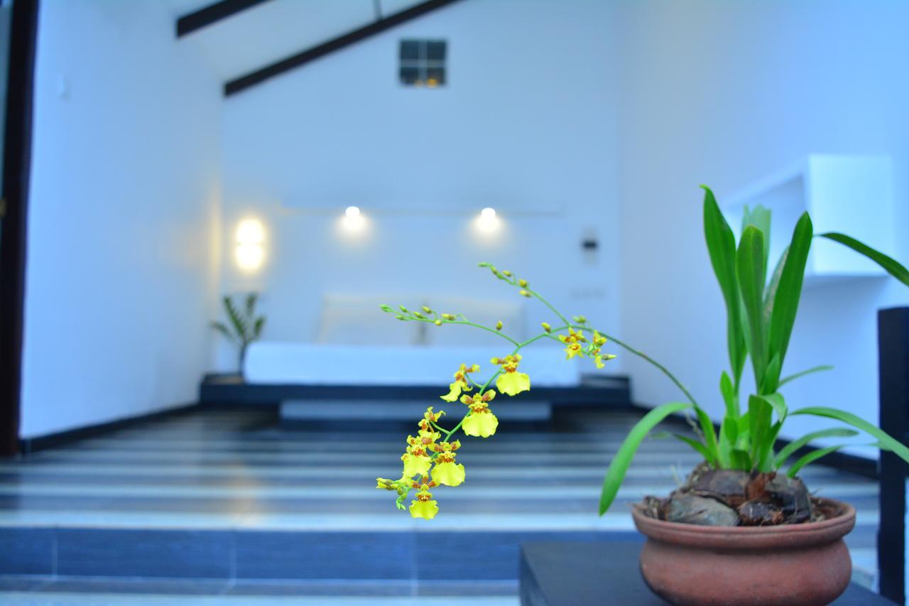 Midigama Holiday Inn Εξωτερικό φωτογραφία